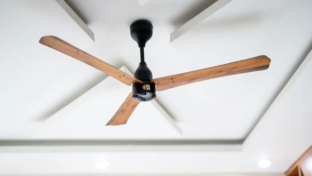 Ceiling Fans