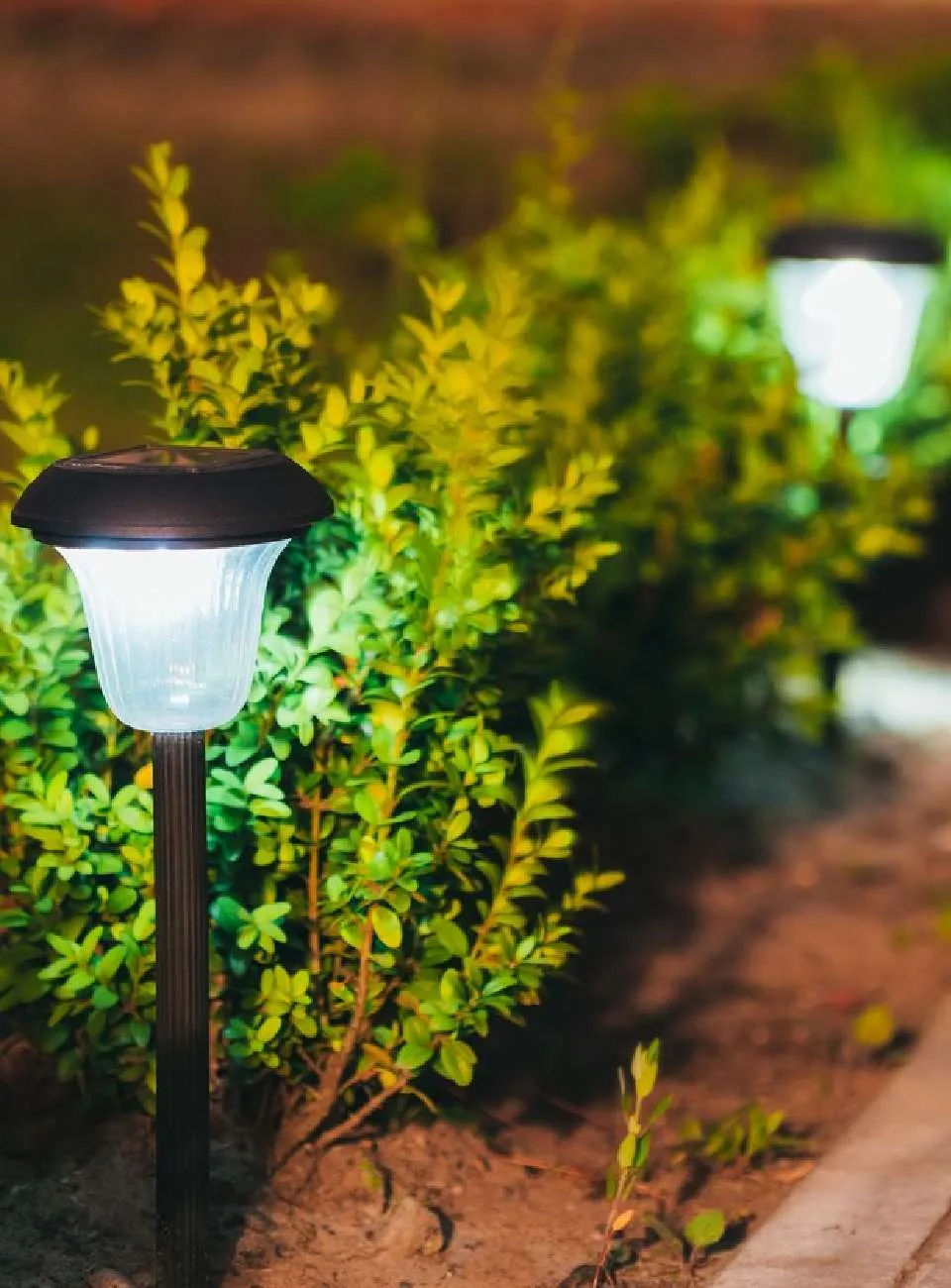 Solar garden lights illuminating a pathway alongside green shrubbery at night.