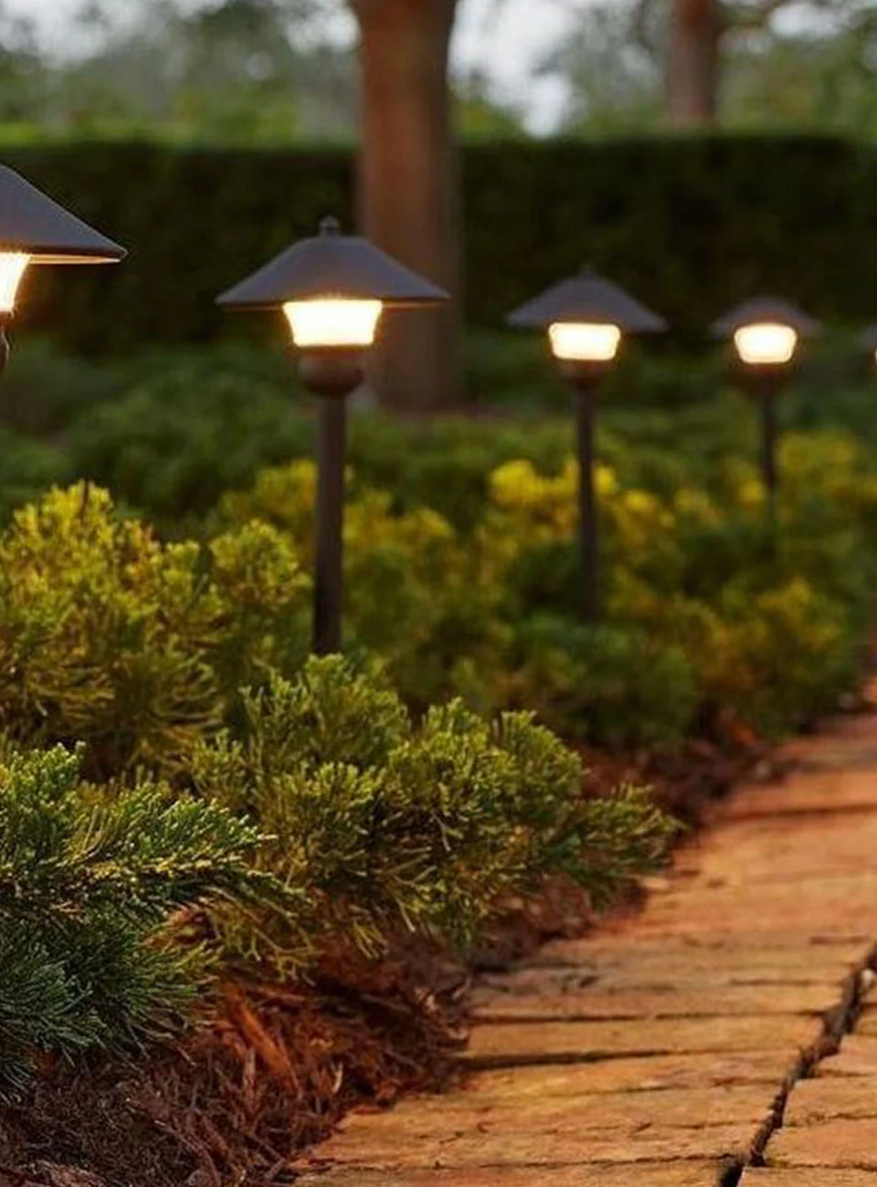 A pathway lined with decorative garden lights and lush greenery.